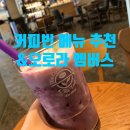 커피빈 퍼플베리요거트IB 후기(커피 말고 메뉴 추천)| 오로라 멤버스 회원 혜택 정보