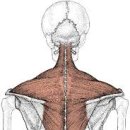 함께선수 & 퍼스널트레이닝 센터 이미지