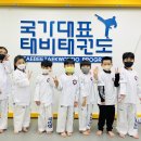 국가대표 태비태권도 이미지