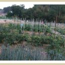 광희농장 이미지