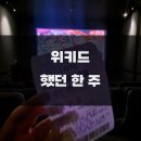 린첸즈 키친 | [통번역대학원 일상 S2_WK12] 위키드 했던 한 주