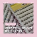 (주)중앙전자통신 | [뷰티] 플리뮤즈 부분 속눈썹 : 연장없이 완성되는 자연스러운 눈매 셀프속눈썹