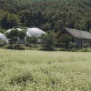 맹개마을체험휴양마을 이미지