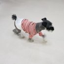 뽀솜뽀솜 이미지