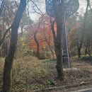비휴(비휴비, 비휴휴)