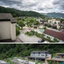 아모르 루시 이미지