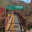 삼매당 | 대전 동 갈만한곳 베스트10 여행 관광 명소 추천