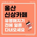 울산 신상카페 가오픈카페 리스트 (8월)