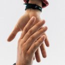 제일한방실업 이미지