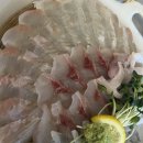 대구횟집 | 대구맛집 팔팔회관 산오징어 — 동성로에서 찾은 가성비 대구횟집 추천 후기