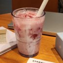 스타벅스 메뉴 | 딸기 쏙 화이트 롤, 딸기 라떼 가격 스벅신상후기