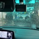 금곡셀프주유소 이미지