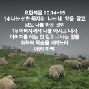 요한복음10:14-15 이미지