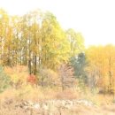 에덴병원 이미지