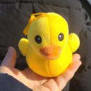 포천 럭스제이 애견펜션 이미지