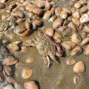 스포츠 아이 수영장 이미지