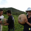 전대경로당 이미지