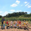 김상수 농장 이미지