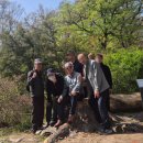 지도 전통시장 | 청량 전통시장 탐방후기 - 유래부터 맛집까지 총정리