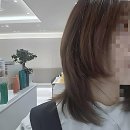 천연염색헤어샵오땡큐 | 서현역 미용실 추천 남자 머리 잘하는 곳 솔직 후기