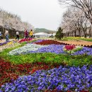 해살이참좋은 네이버블로그