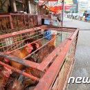 한산건강원 - 평택시 판교길 23 | 한산건강원