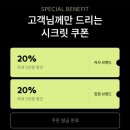 내돈내산 쇼핑 | 아식스 트랙클럽 노바블라스트5 우먼 135,200원(+230사이즈 착용 후기)SSF 20% 할인쿠폰