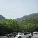 2024.04.28. 충북 보은 속리산 이미지