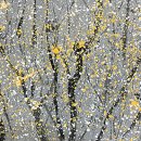 조선대학교 미술관 이미지