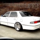 다이너스티 이미지