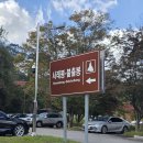 11월 정기산행 전북 정읍 내장산 이미지