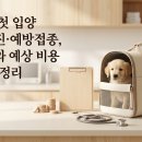 유안유치원(인수유치원 중복) | 강아지 첫 입양 건강검진·예방접종, 일정표와 예상 비용 한 번에 정리