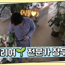 3월26일 요즘 남자 라이프 신랑수업 식물 제일 좋아 외로움을 달래주는 플랜테리어 전문가 장우혁 영상 이미지