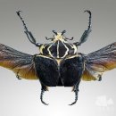 서울숲공원 관리사무소 이미지