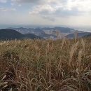 승학산 티스토리