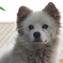 까망농장 이미지