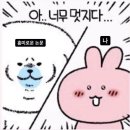 [북경대 박사 1학기 #5] 4주차 - 배양계획서 쓸 준비 스타트