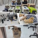 제시카 켄넬 이미지