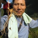 심봤다 이미지
