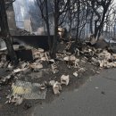 삼화양돈(2) 이미지