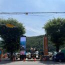 단양 오성통닭 닭강정 후기, 통마늘이 듬뿍 들어간 구경시장 치킨맛집