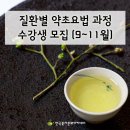 약초아카데미3강 - 기관지에 좋은 약초 | 9월 질환별 약초요법 수강생 모집 (한국꽃차문화아카데미)