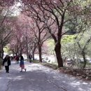 청룡사 등산로 이미지