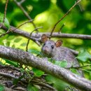 신당3로-14 이미지