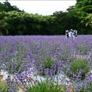 남계농장 이미지