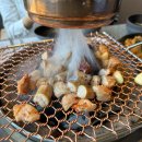 오발탄파라다이스시티