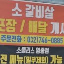 소플러스영종점