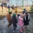 루소의숲유치원 이미지