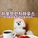 동물은내친구 | 연남동브런치 맛집 히포브런치하우스 | 반려동물동반 가능한 연남동브런치카페 후기