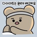 헬린이 일상 + 하루 4끼 식단 + 내돈내산 필수템 추천 💪🏻